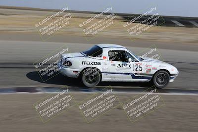 media/Nov-04-2023-CalClub SCCA (Sat) [[cb7353a443]]/Group 3/Cotton Corners (Race)/